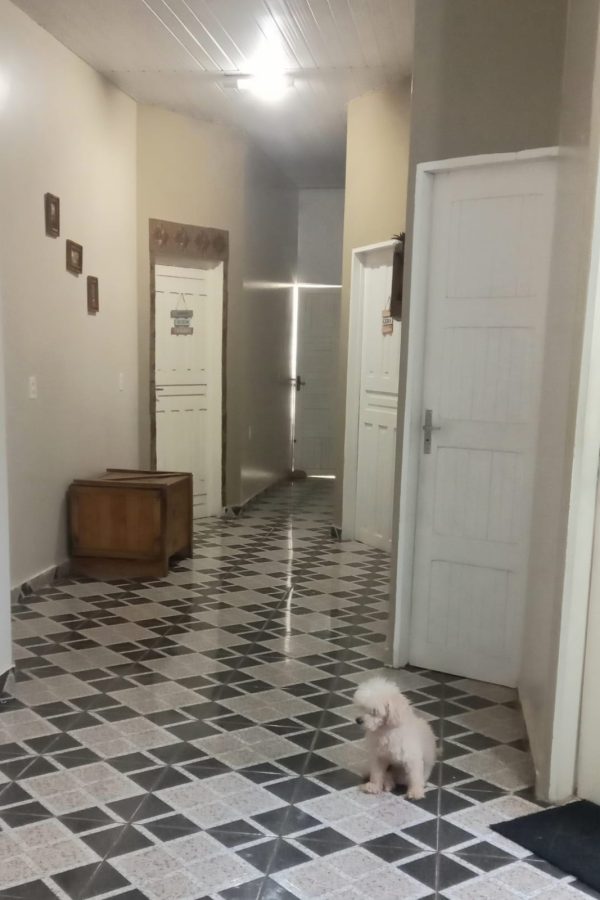 WhatsApp Image 2023-07-19 at 16.03.08