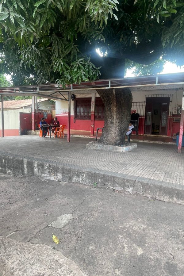 WhatsApp Image 2024-01-11 at 09.10.49